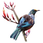 Tui